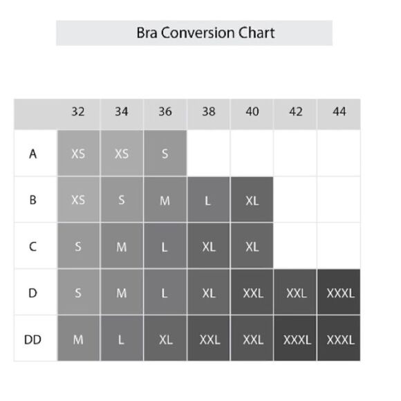 Women's Sofia Vergara Intimates Longline Seamless Black Plunge Bra 2-Pack Size M - Picture 4 of 4